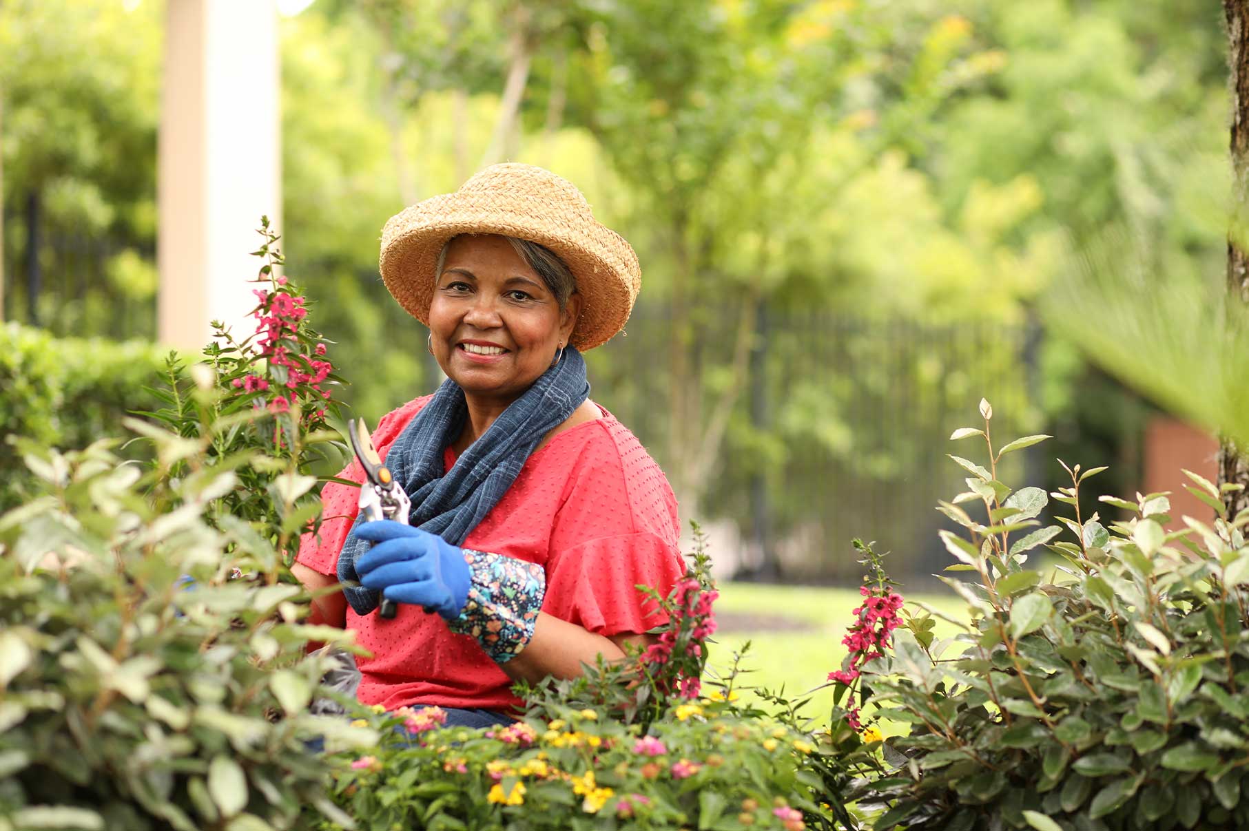 Danos Por Jardineria